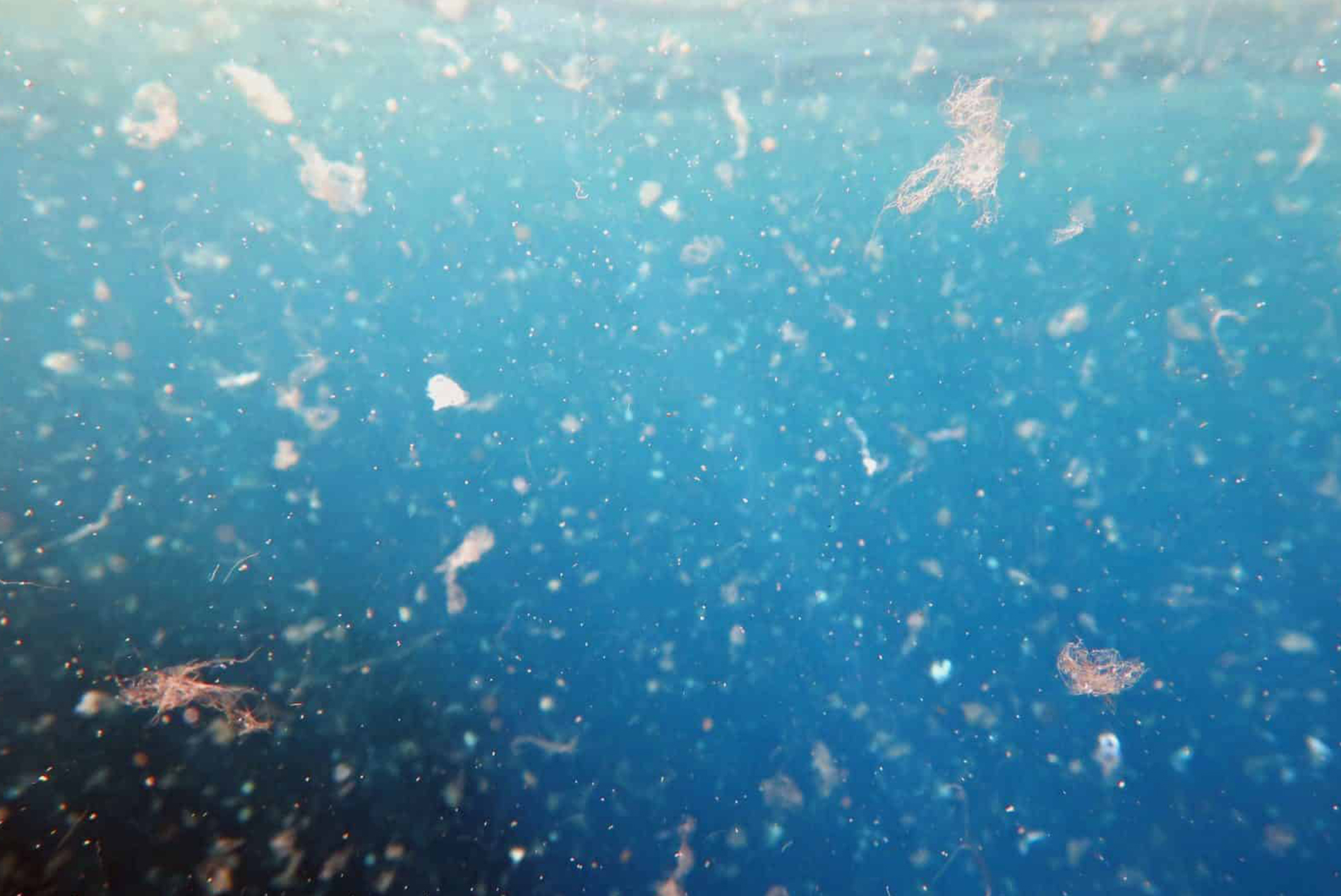 Water Quality and the Global Microplastic Crisis